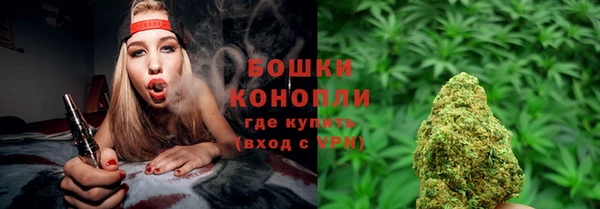 гидра Сафоново