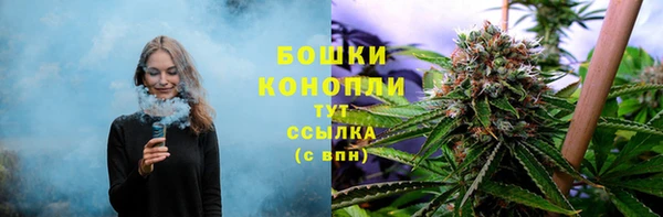 гидра Сафоново
