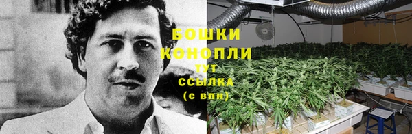 гидра Сафоново