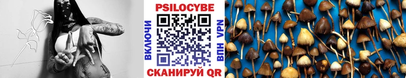 Галлюциногенные грибы GOLDEN TEACHER  Купить  Углич 