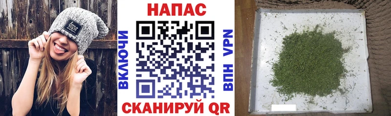 Купить где  Углич  Каннабис план 